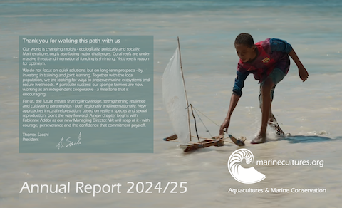 Annual Repport 2024/2025