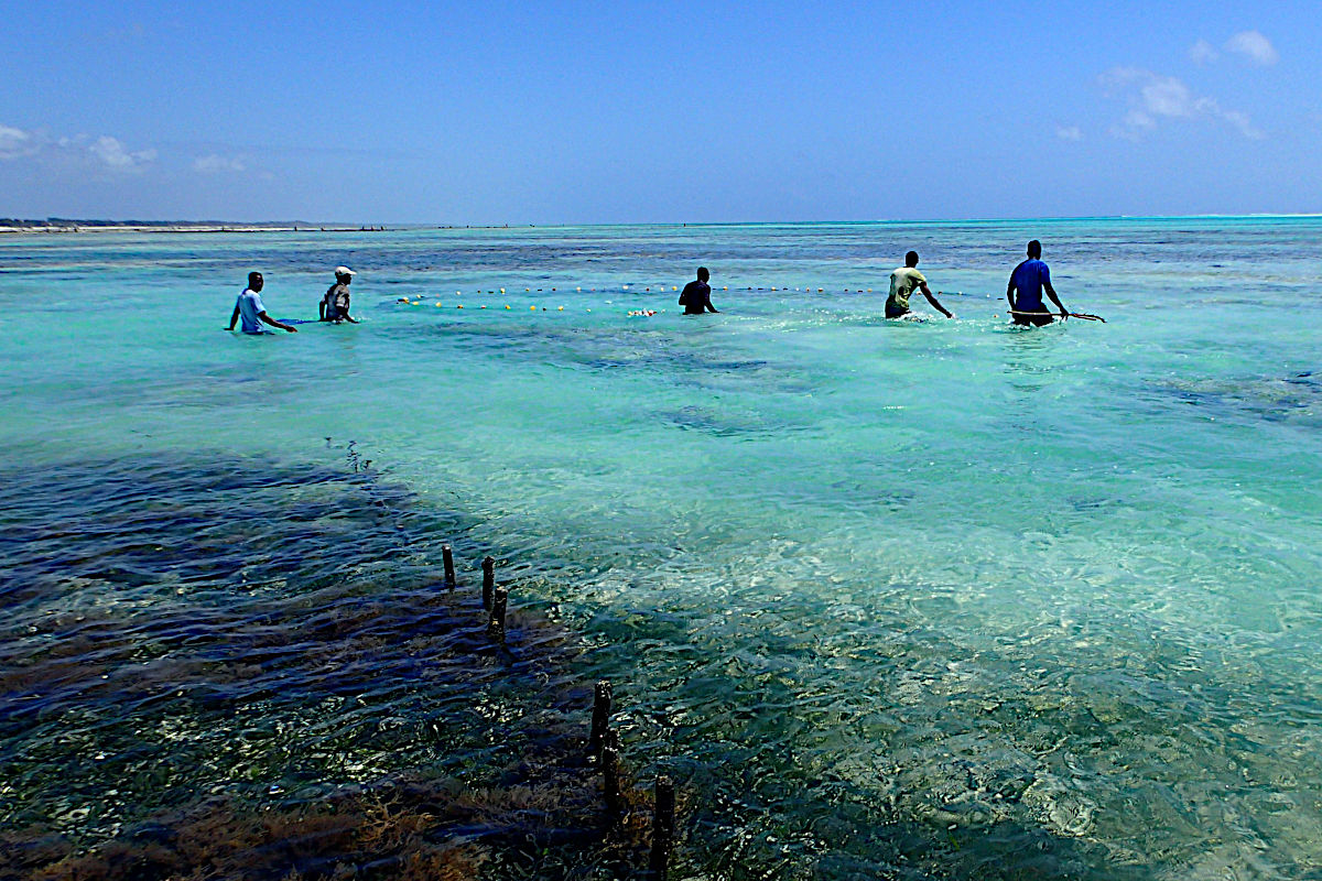 Dragnet fisher in Jambiani