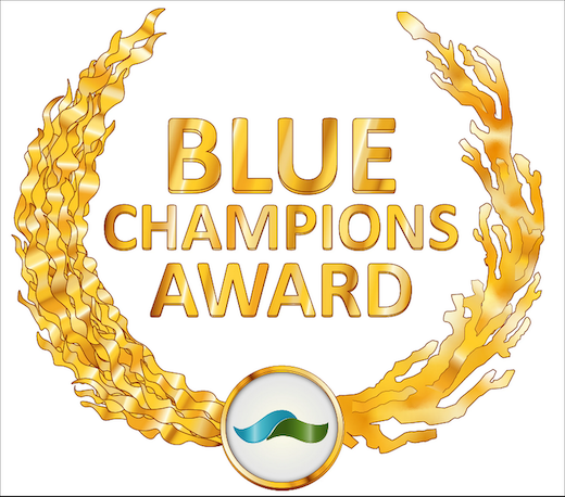 Blue Champions Award Logo