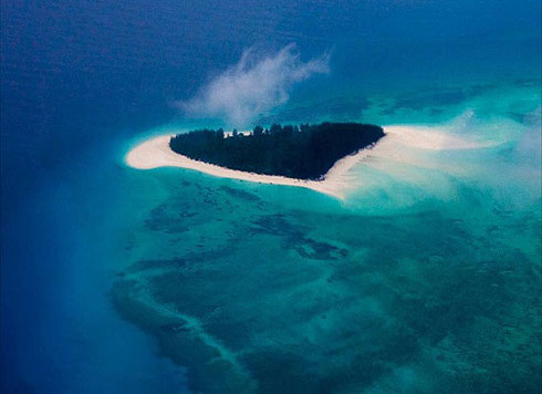 Mnemba Island